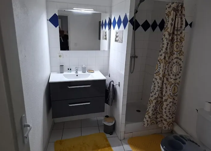 Appartement T2 Le Terminus, Face Gare , Wifi